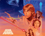 Star Wars A New Hope Luke Vader Movie Poster Lithograph Print Art 18x24 ... - $99.90