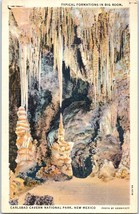 Big Room Carlsbad Caverns National Park New Mexico Postcard - £16.81 GBP