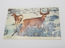 Vintage Postcard Deer Duo Snowy Winter Nature Scalloped Edge - $4.94