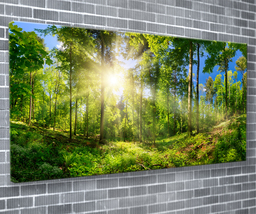 Sunshine Forest Canvas Print Nature Wall Art 55x24 Inch Ready To Hang  - £72.00 GBP