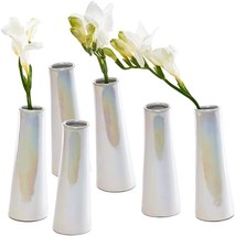 Chive - Set Of 6 Galaxy, Single Flower Decorative Floral, 1&quot; Wide X 5&quot; Tall. - £40.08 GBP