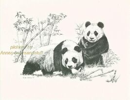 # 153 PANDAS Panda  wild life art print * Pen and ink drawing by Jan Jel... - $12.50
