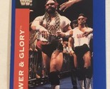 Power And Glory WWF Trading Card World Wrestling  1991 #49 - £1.55 GBP