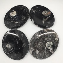 4pcs,6.25&quot;x4.75&quot;x5mm Oval Fossils Orthoceras Ammonite Bowls Dishes,Black, MF1383 - £28.31 GBP