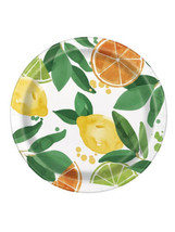 Citrus Fruit 8 Ct Lunch Dinner 9 inch Plates Summer Party Lemon Orange Lime - $3.79