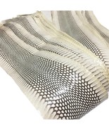 Asia Cobra Snake Skin Hide Leather Snakeskin Craft Supply Natural Glossy... - $20.67 CAD+
