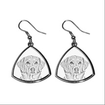 Nova Scotia Duck Tolling Retriever-NEW collection of earrings with images of dog - $10.99