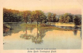 New York Zoological Park~View Of Lake AGASSIZ~1908 Tint Photo Official Postcard - £8.42 GBP