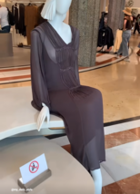 ZARA BNWT 2025. MINK BROWN EMBROIDERED BEADED DRESS BOHO. 0667/042/706 - $148.20