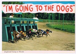 Postcard I&#39;m Going To The Dogs Greyhound Racing In Florida - £3.91 GBP