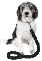 Pet Life ® Tough-Tugger Industrial-Strength Shock Absorption Woven Dog L... - £13.29 GBP