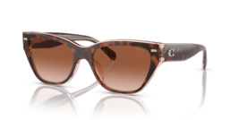 Coach Sunglasses HC8370U 574413 Tortoise/Transparent Pink W/ Brown Pink ... - $1,298.12 MXN