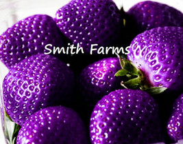 AD 200 Seeds Purple Strawberries Edible Healthy Fruit Strawberry Home Ga... - $13.26