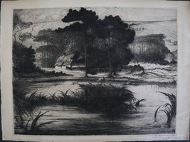 Andrew Harrington Engraving Pine Forest Cheshire c1920 Landscape Beautiful! - £102.78 GBP