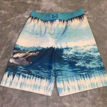 Boys Size Large 10-12 Wonder Nation Board Shorts Swim Trunks Great White Shark - £11.22 GBP