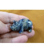 (Y-PIG-ST-587) blue white Sodalite pig piglet GEM gemstone FIGURINE litt... - €16,12 EUR