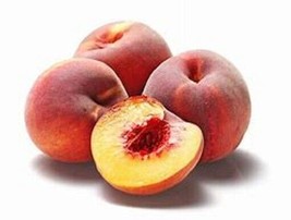 1 &quot;Redskin&quot; Peach Tree, 18+inch, Fast Growing Fruit for Garden Landscaping - £15.19 GBP
