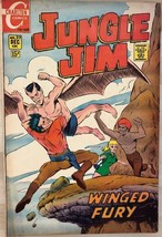 JUNGLE JIM #27 (1969) Charlton Comics VG+ - $9.89