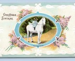 Little Girl On White Horse First Ride Greetings Sincere Embossed DB Post... - $4.90