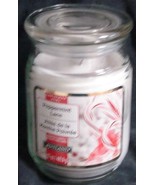 Ashland Christmas Noel Peppermint Lane 17 Oz. Candle - BRAND NEW - REUSA... - €21,61 EUR