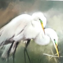 Artist Photograph Giclee Print Snowy White Egret Pair Bird Florida Nature 14&quot; - $36.45