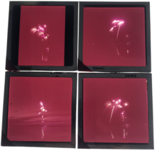 4 Diff VTG Fireworks in Night Sky Glass Plate Photo Slide Magic Lantern July 4th - £25.64 GBP