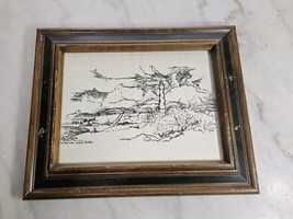 California Dunes Aruba Drawing by D Solá –  Reproduction, Vintage - $135.58