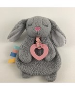 Modern Baby Bunny Rabbit Gray 8&quot; Plush Infant Toy Crinkle Teether Lovey ... - €16,16 EUR
