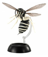 Bandai Vespinae Wasp Bee Hornet PVC Actionfigur Modell mit Gelenken - $35.60