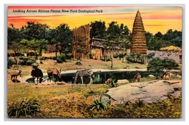 View Across African Plains New York City Zoological Park UNP DB Postcard N24 - £2.28 GBP