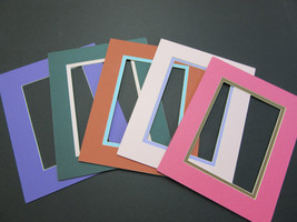 Picture Frame Double Mat 8x10 for 5x7 photo Custom special colors SET OF 5 - $10.00