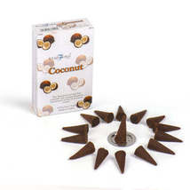 Coconut cones - $55.33 MXN