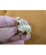 (Y-WOL-17) tan red WOLF coyote wild dog carving SOAPSTONE stone PERU FIG... - $8.59