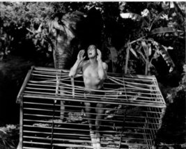 Tarzan Johnny Weissmuller Shirtless 8x10 Photo K9415 - £7.69 GBP