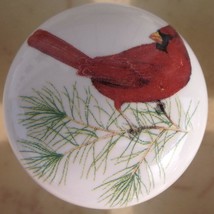 Ceramic Cabinet Knobs w/ Cardinal on branch #1 Bird domestic - £3.50 GBP