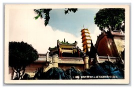 RPPC Tinted Tiger Balm Garden Hong Kong China UNP Postcard O23 - $14.80