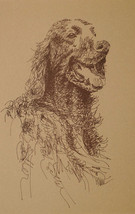 Original Irish Setter Dog Art Print #28 Kline Adds Your Dogs Name Into Print. - £40.02 GBP