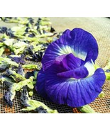 Asian pigeonwings Butterfly Pea Clitoria ternatea Dried 100 Grams Thaila... - $8.23 CAD