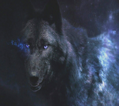 Werewolf Lycan Spell Magick changes empowerment Awakening transfom you - £29.28 GBP