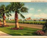 Ocean Drive Corpus Christi TX Postcard PC4 - £4.00 GBP