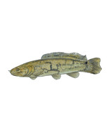 Bowfin Fish Sticker Decal Hunting Fishing Camping Wildlife Outdoors Lake... - €6,03 EUR+