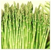 50 Seeds Mary Washington Asparagus Seeds NON-GMO Heirloom Fresh Garden - £10.20 GBP