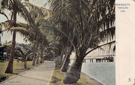Palm Beach Florida~Path By The LAKE~1900s Raphael Tuck Seriespostcard - £7.96 GBP