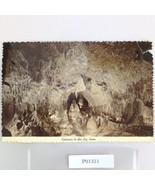 Carlsbad Caverns Big Room New Mexico 1970s 4x6 Deckle Edge Postcard 1974 - €8,45 EUR