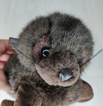 Vintage 1992 Mary Meyer 12&quot; Brown Seal Pup Plush   - £7.50 GBP