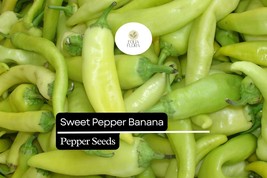 25 Sweet Banana Pepper Seeds – Capsicum annuum – Heirloom, Mild &amp; Sweet,... - $5.71