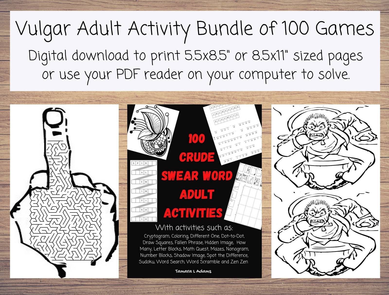 100 Vulgar Adult Activities: Coloring, Hidden Image, Math Game, Mazes, A... - $5.00