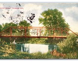Whitney Bridge Columbus Wisconsin WI 1909 DB Postcard P25 - $2.92
