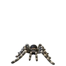 Spider Tarantula Over Sized Statue - $993.33