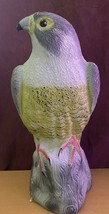 Latex Mould &amp; Fibreglass Jacket To Make This Falcon. Large - $93.94